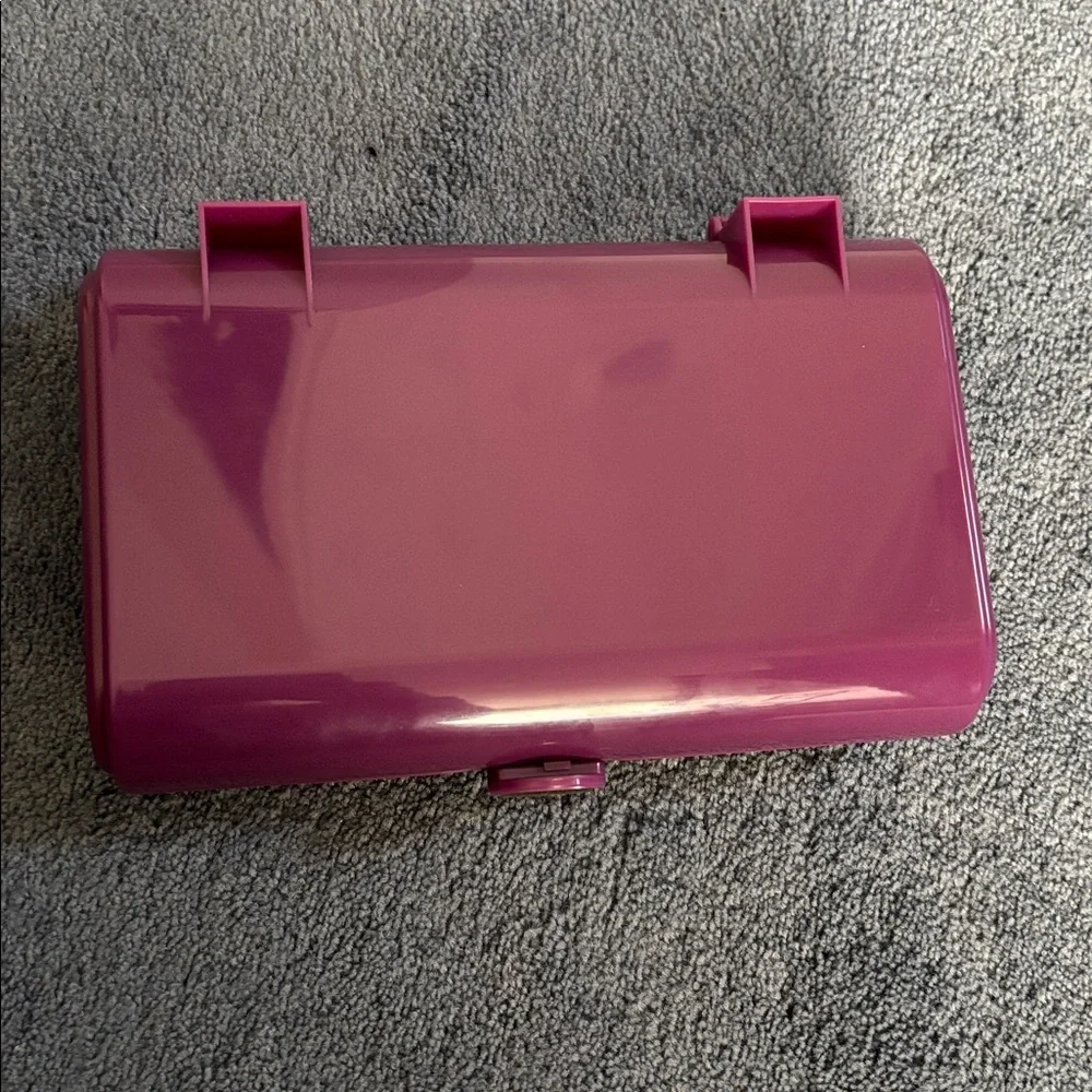 Caboodles Glossy Plum Organizer